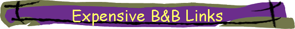 Expensive B&B Links